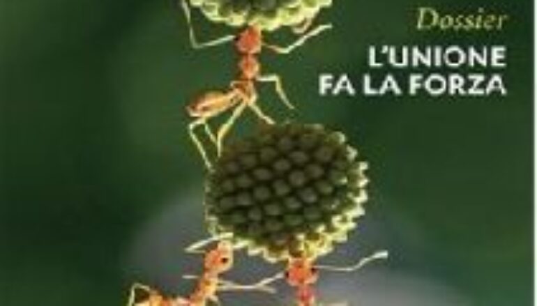 L’unione fa la forza