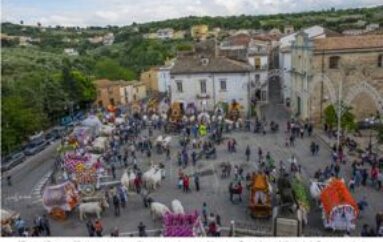 Foto Rino Trivisonno: Larino festa di san Pardo (25-26-27 maggio)