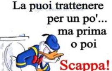 Più falò che stelle