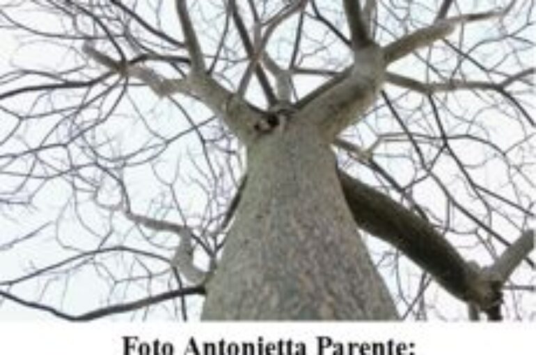 foto: “La vita dona vita”