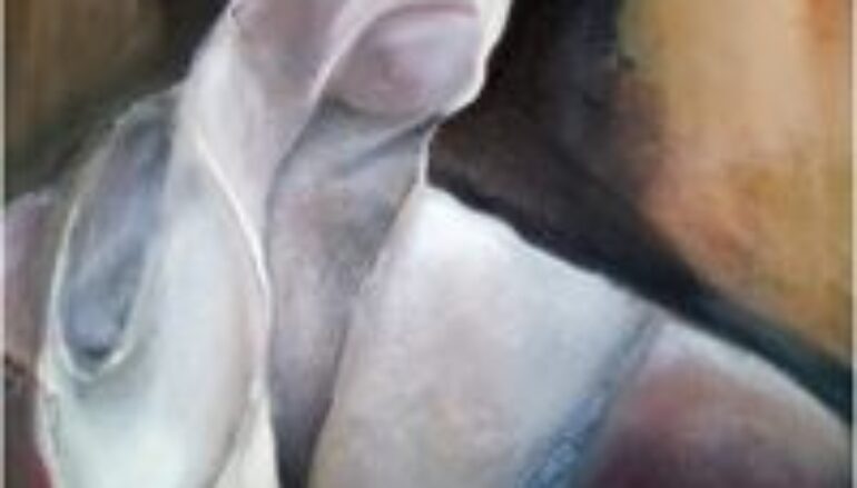 – pittura: “Donna velata” di Ana Maria Erra Guevara